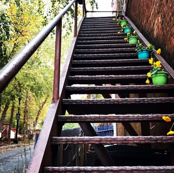 Flower pots ascending up a flight of stairs in downtown Jonesborough, Tennessee. Photo: Gabe Perez